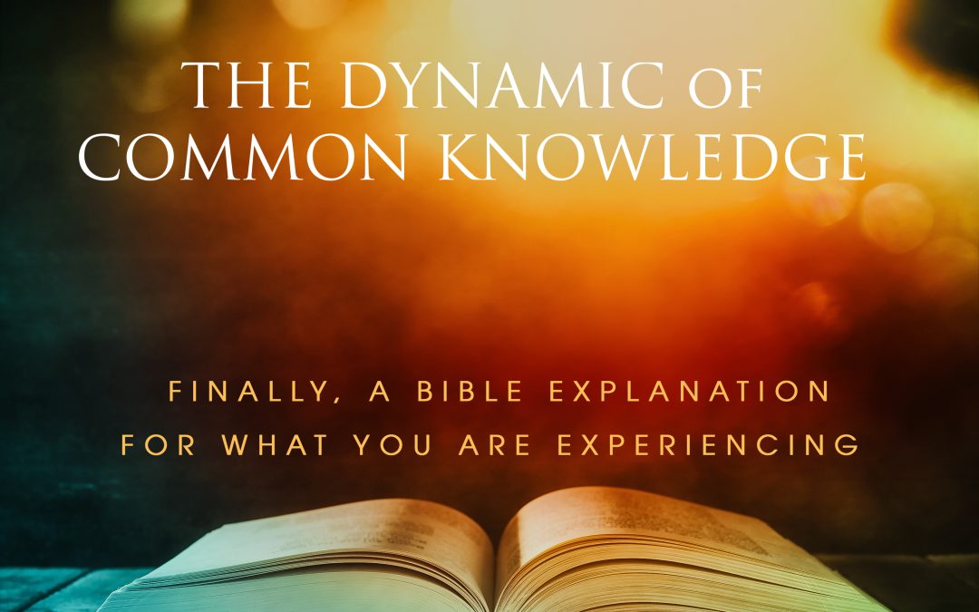Ep. 17, The Dynamic of Common Knowledge
